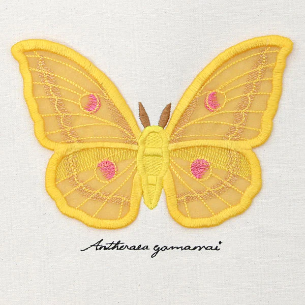 Winged Curiosities - Japanese Silk Moth (3D Applique) - Image 4