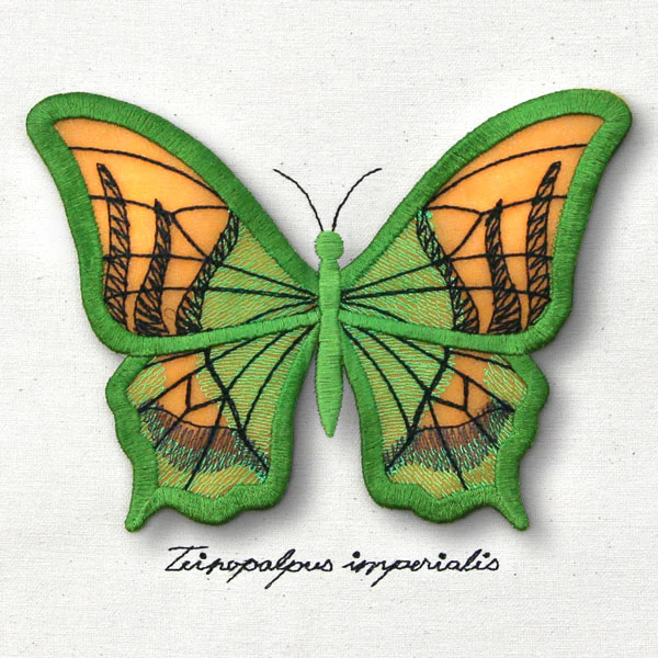 Winged Curiosities - Kaiser-i-Hind (3D Applique) - Image 11