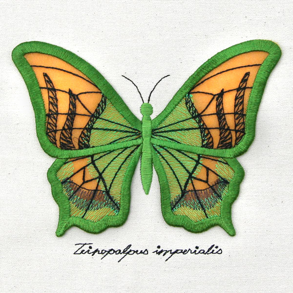 Winged Curiosities - Kaiser-i-Hind (3D Applique) - Image 13