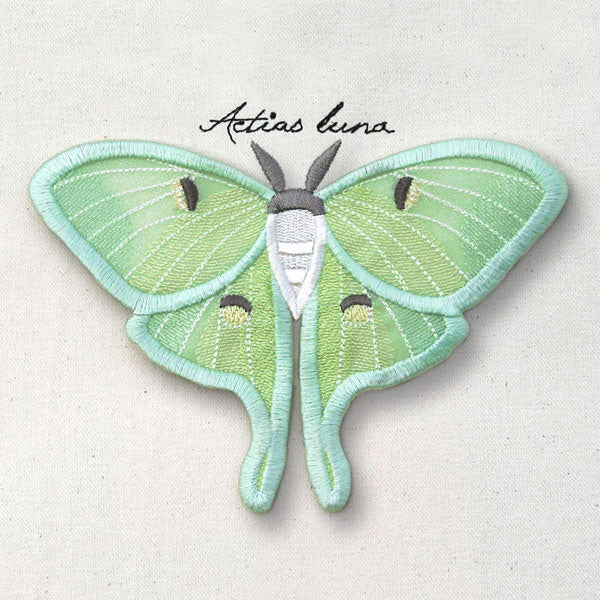 Winged Curiosities - Luna Moth (3D Applique) - Image 8